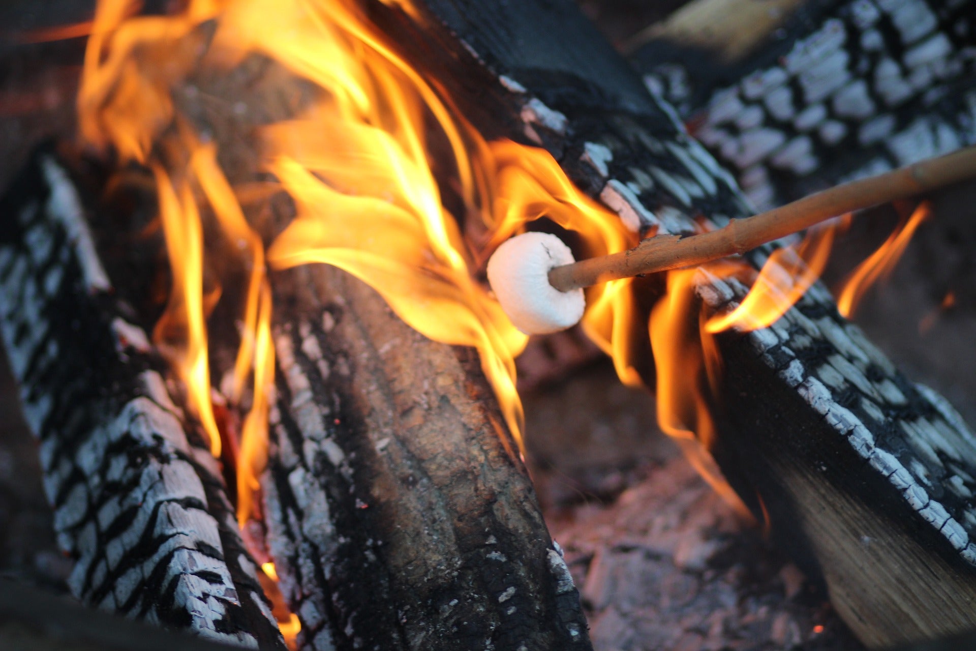 S’mores Charcuterie Board: Everything you need to include